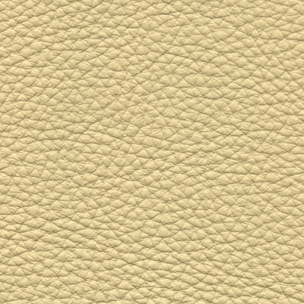 beige 3010